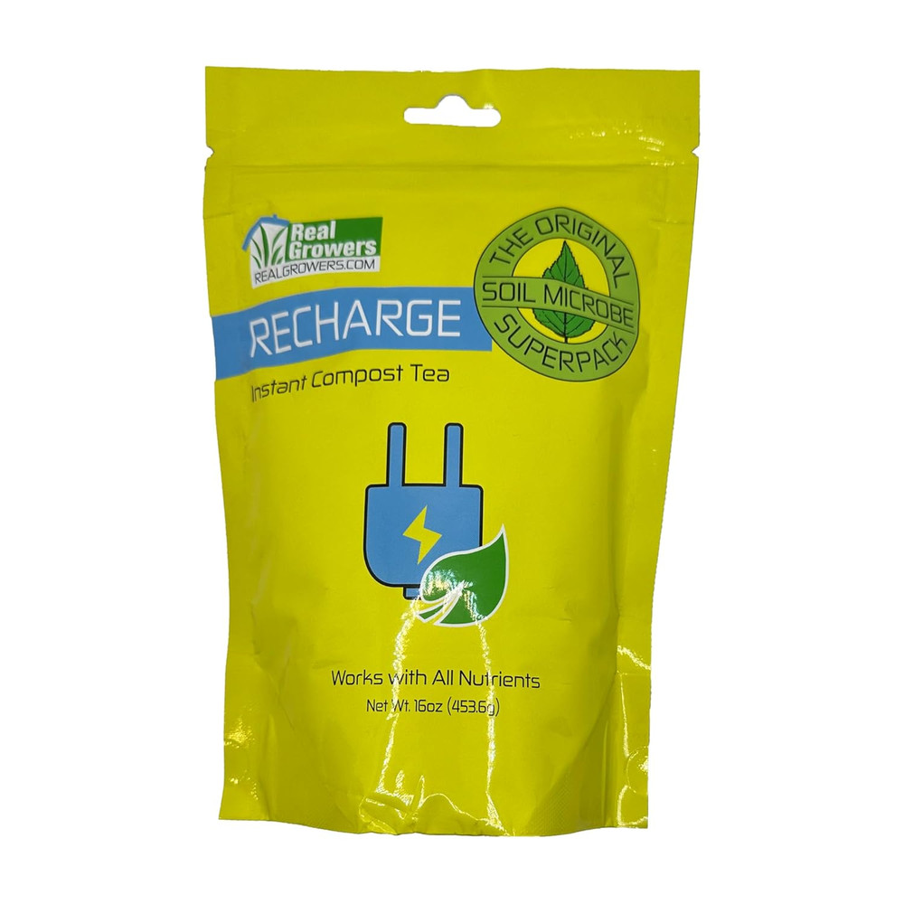 Recharge 16Oz