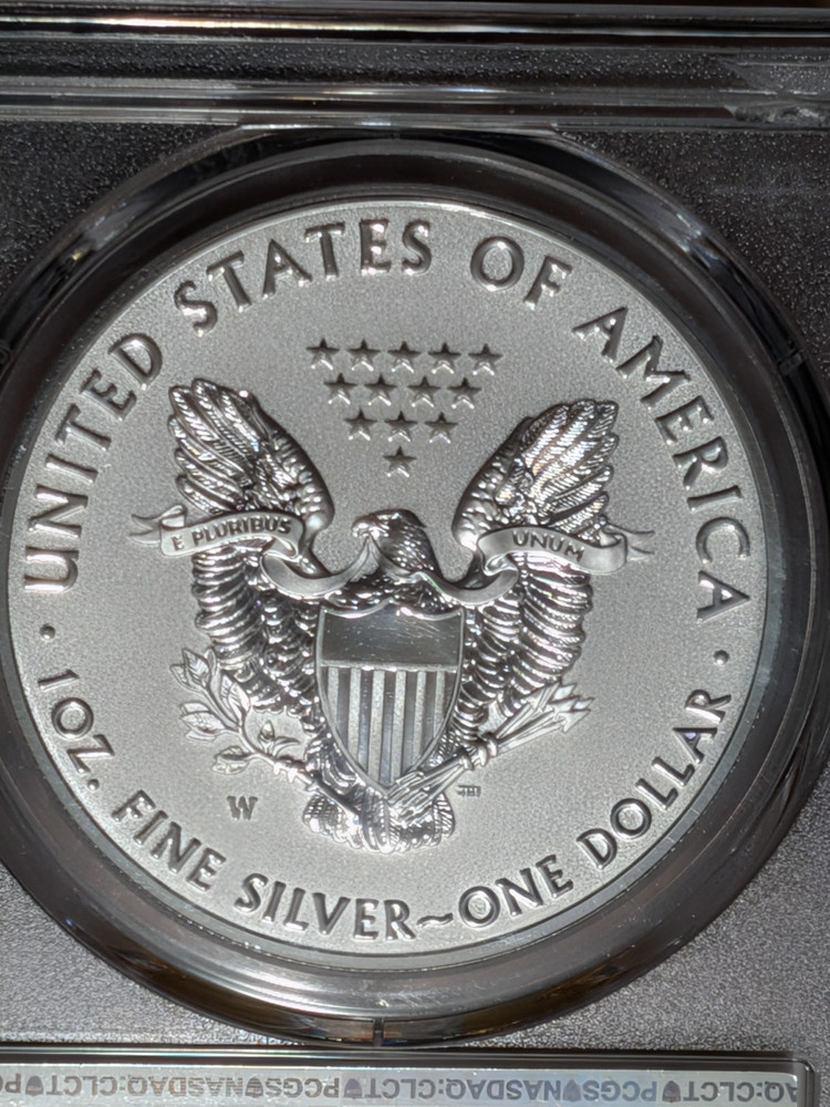 (tiny mint flaw) 2019-W RP ENHANCED SILVER EAGLE PCGS PR70