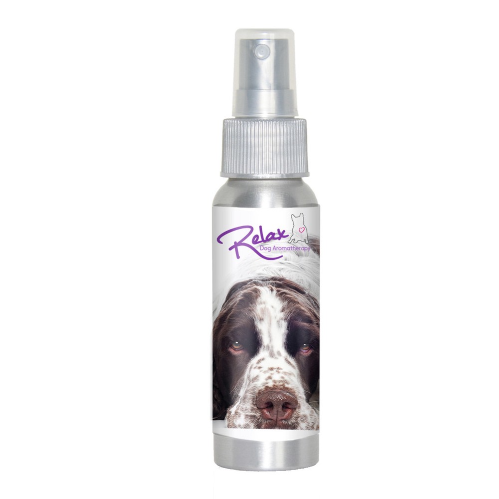 Is Your Springer Spaniel Afraid of Thunder? Fireworks? Try Relax Aromatherapy