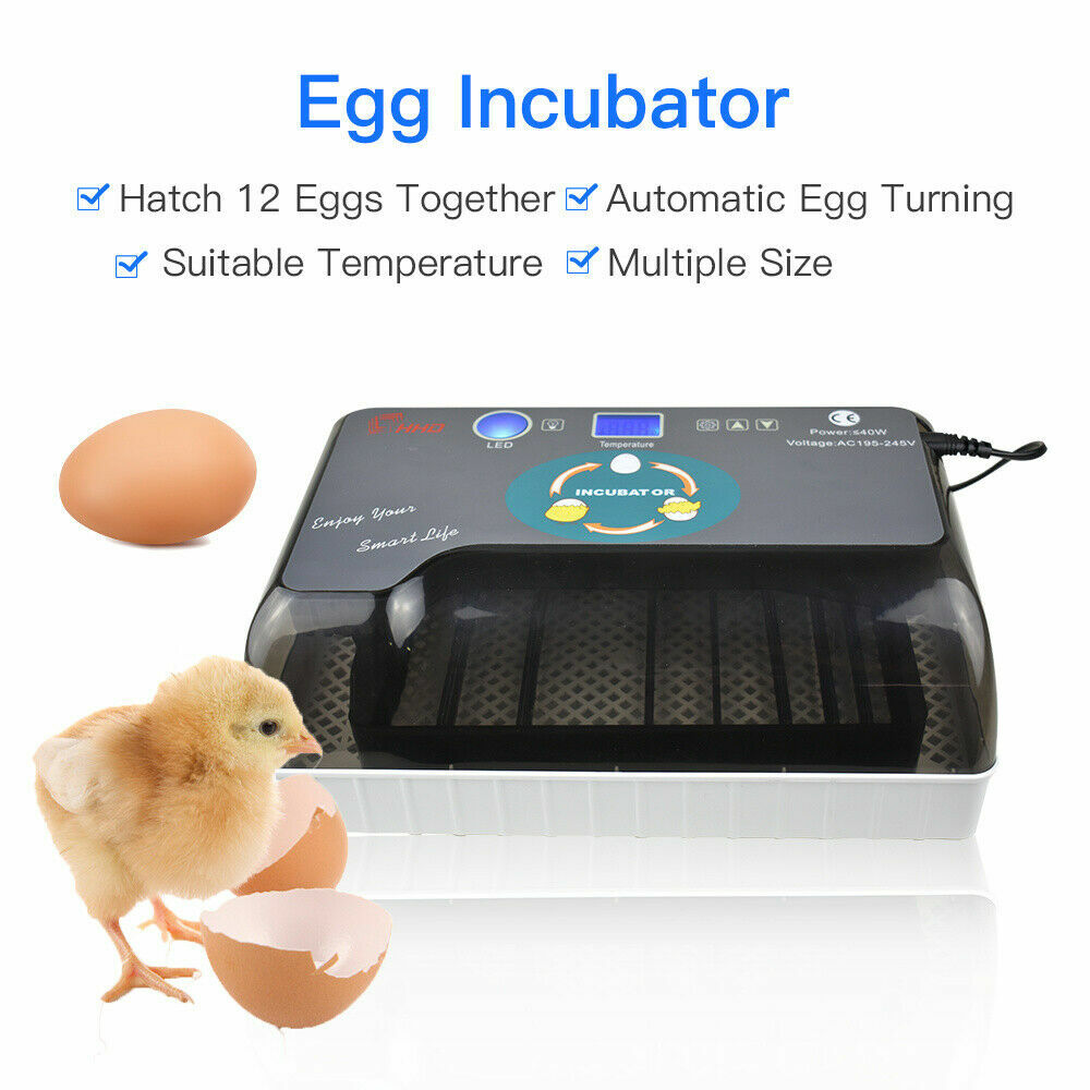 12 Eggs Mini Visual Egg Incubator Digital Egg Incubator w/Automatic Turning