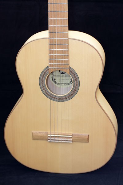 HORA 6 string ECO classic maple guitar, GS 100