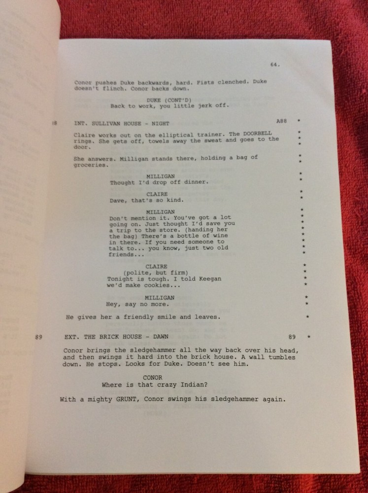 ORIGINAL SCRIPT A WARRIOR'S HEART ASHLEY GREENE ADAM BEACH KELLAN LUTZ