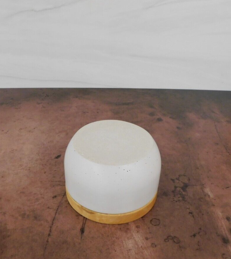 Berard Olivewood Concrete Salt Keeper - New
