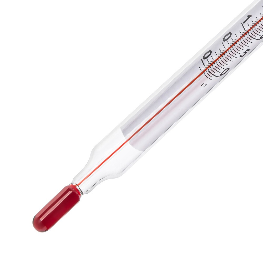 INCUBATOR THERMOMETER INDICATOR (FOR INCUBATION)