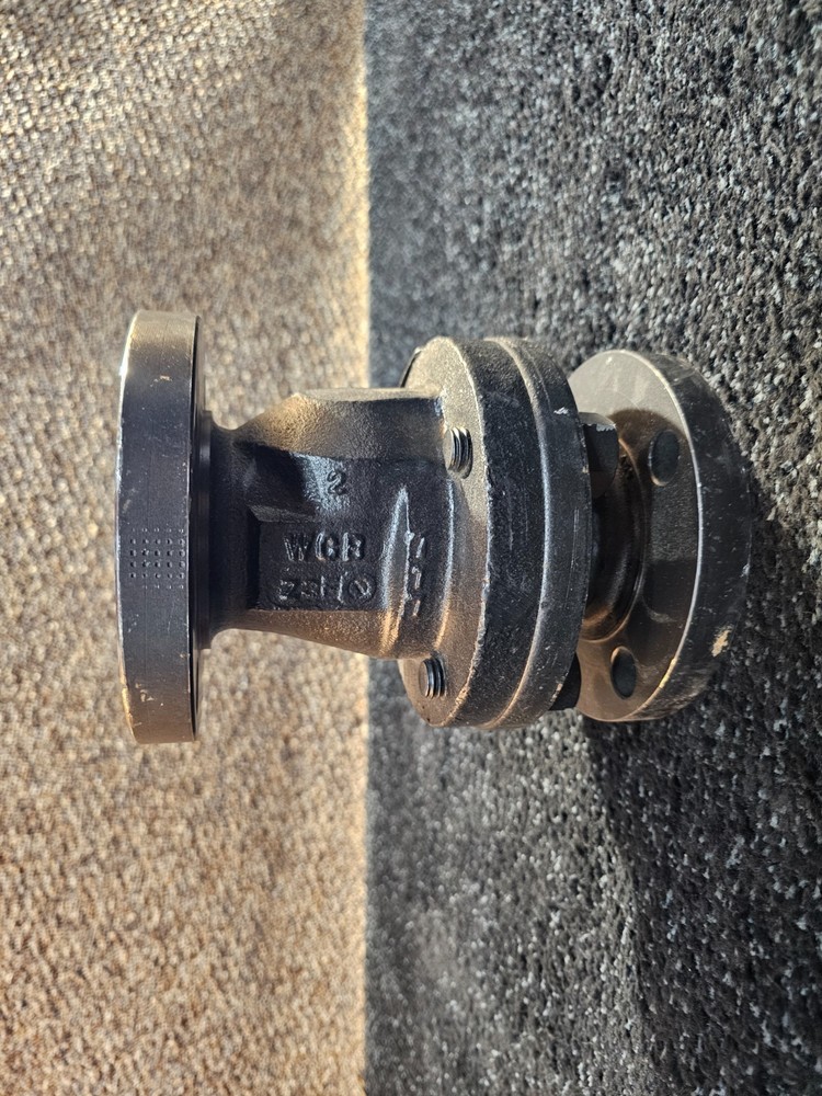 Balon 2F-C13S-RF, 2" Swing Check Valve, 150 Class, Flanged End Connection