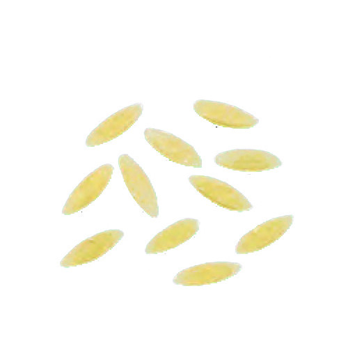 Arcobaleno AEX90 & AEX90M#309 Pasta Die