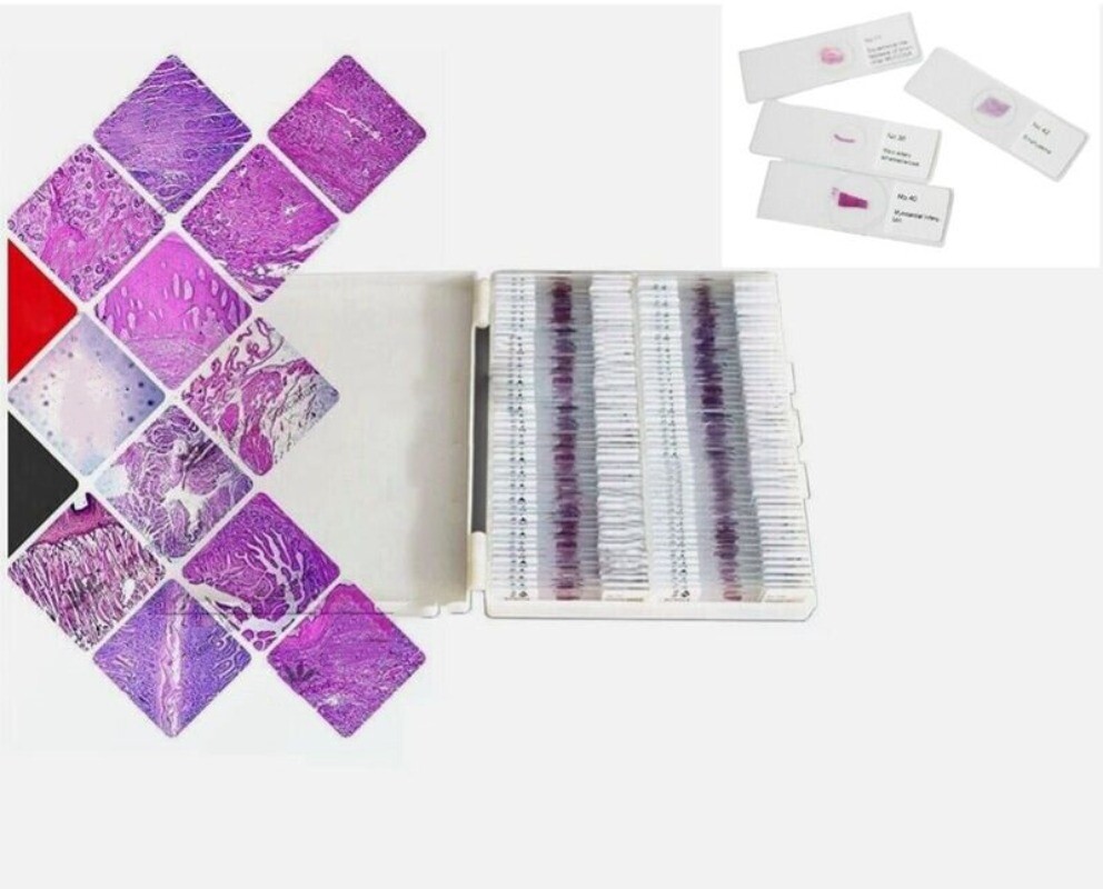 100PCS Mammal Pathological Section Typical Prepared Specimen Slides