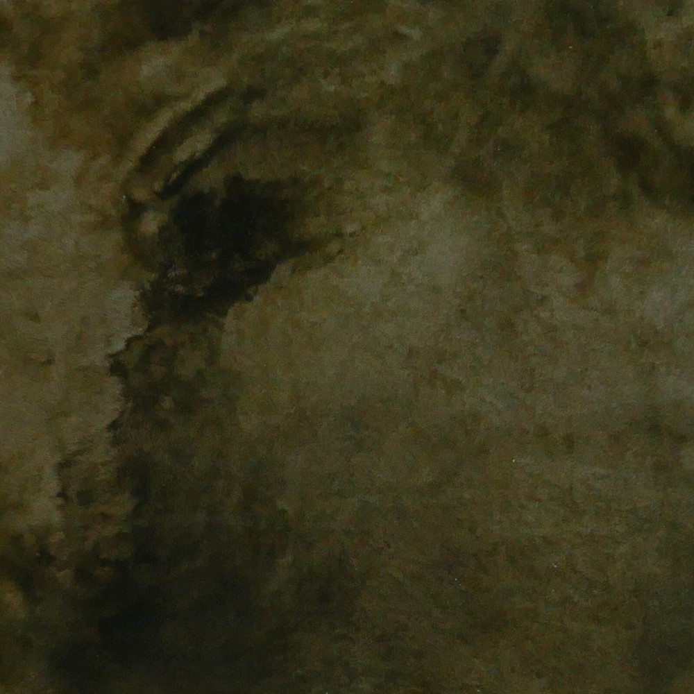 Glacier Wear Olive Shearling - Olive Back