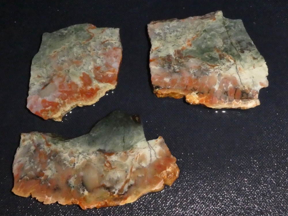 COPROLITE- 3- small slabs- Fossilized poo---rough -cabbing-display
