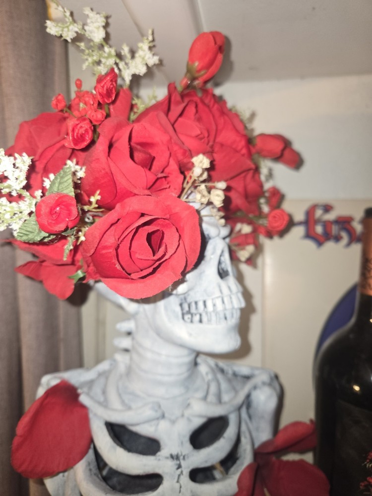 Grateful Dead Bertha Torso + Gnarly Head Wine!