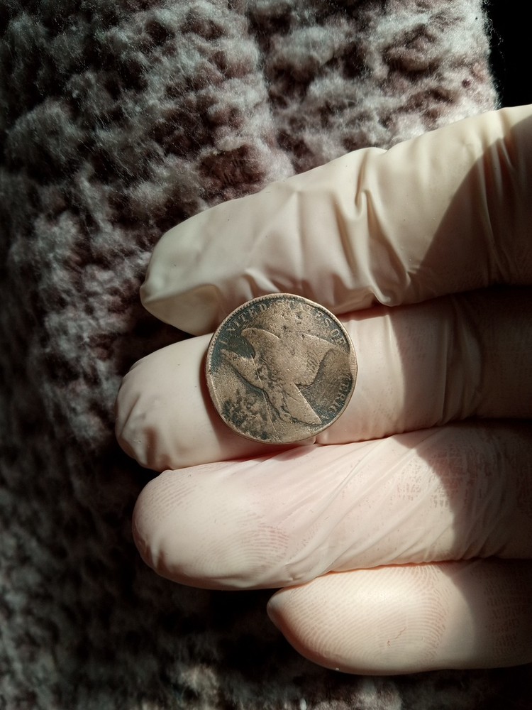 1858 Flying Eagle Penny One Cent Coin