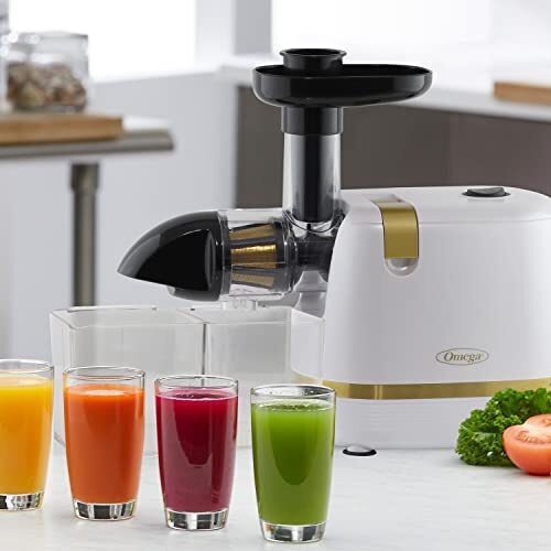 Omega H3000RWH13 Cold Press 365 Juicer Slow Masticating Extractor Creates Del...