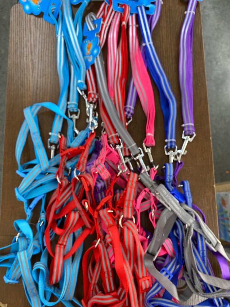 Dog harness with leash $5.00/pc