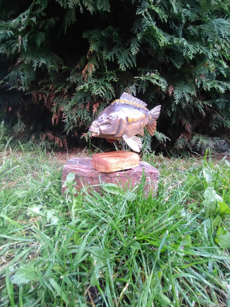 Carp Fishing, linear Carp Display, statue
