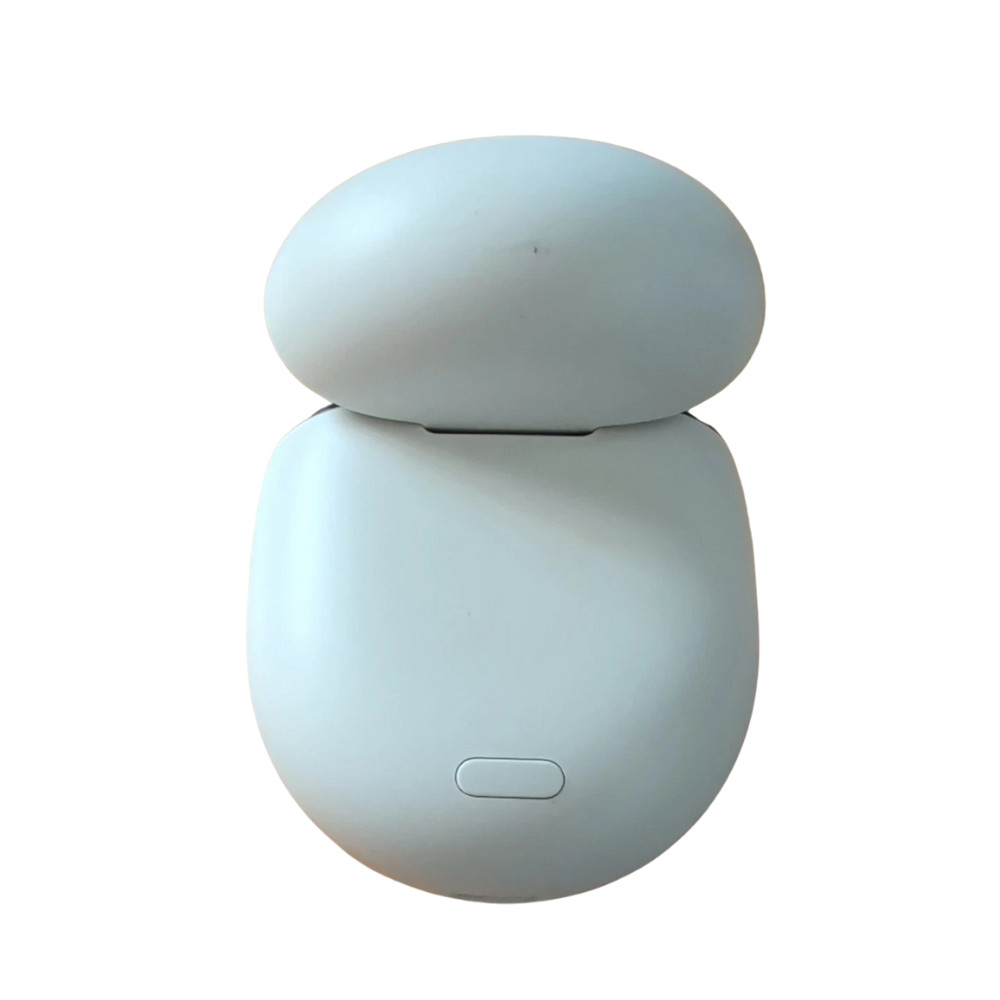 Google Pixel Buds Pro Replacement Charging Case GPX4H