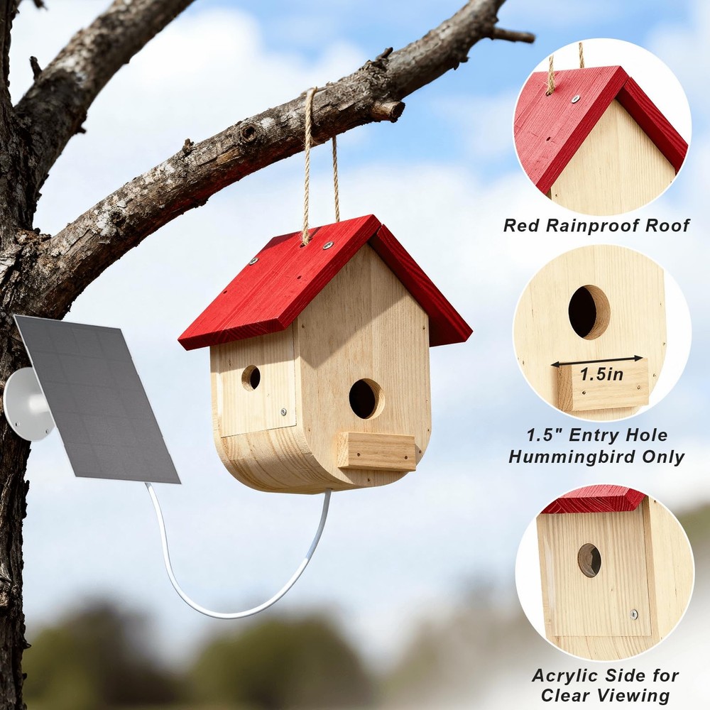 Hummingbird House with Solar Powered