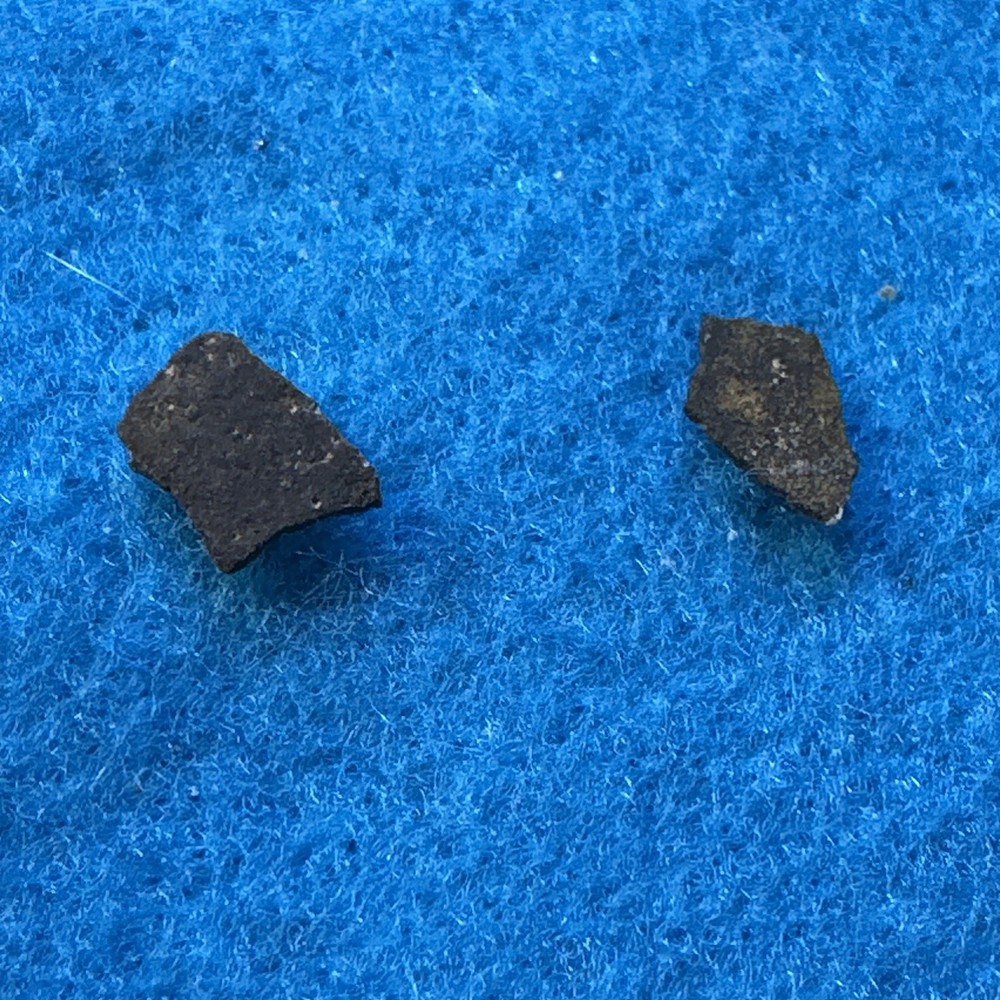 Dinosaur Eggshell Two Fossils from Late Jurassic with Display Case