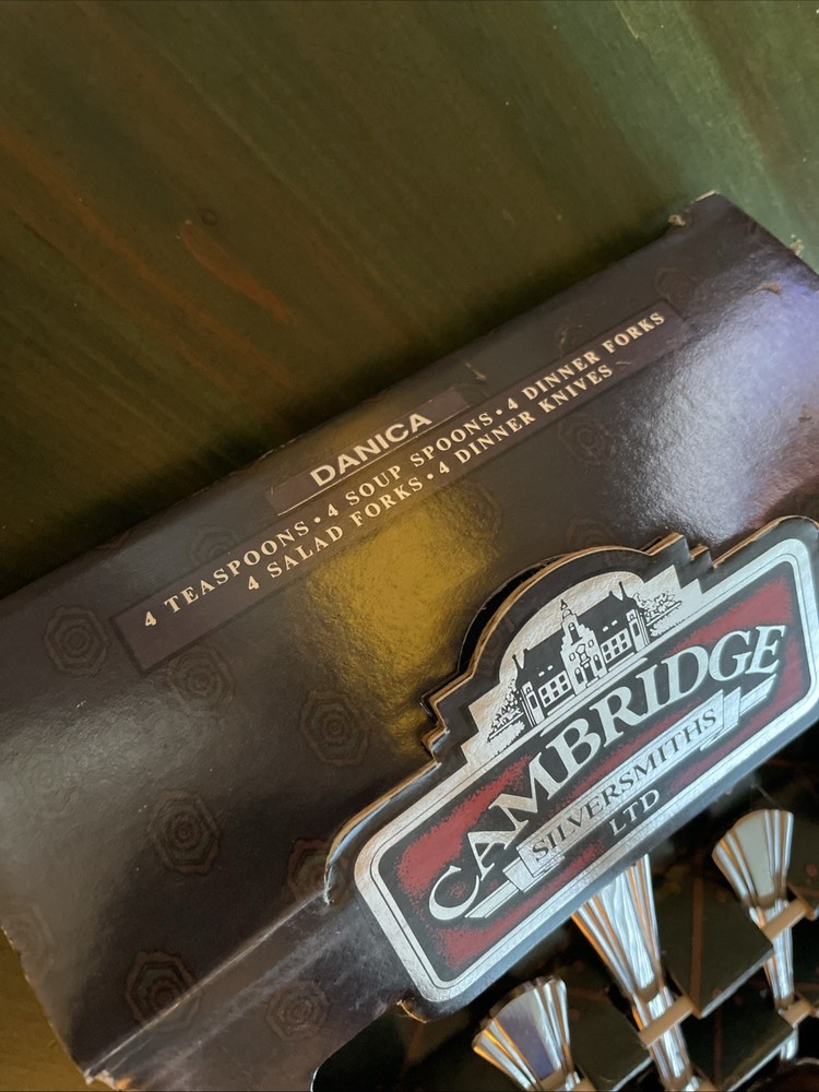 Cambridge Silversmiths “Danica” Stainless Flatware Service For 4 *NEW