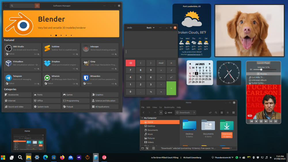 Linux Mint 22.1 Ultimate Upgrade for Microsoft Windows 10 (VM Included) #10