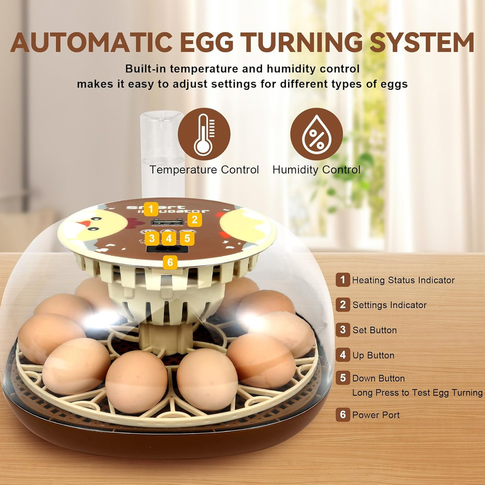 Simple 12-Egg Incubator for Beginners, Auto Egg Turn, Steady Self-Regulating Hum