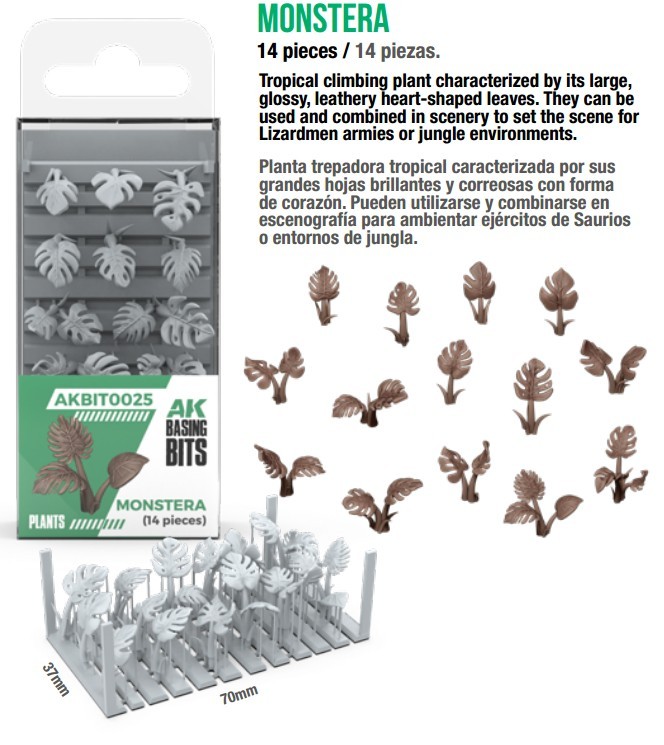 AK Plants - Monstera (14pcs)