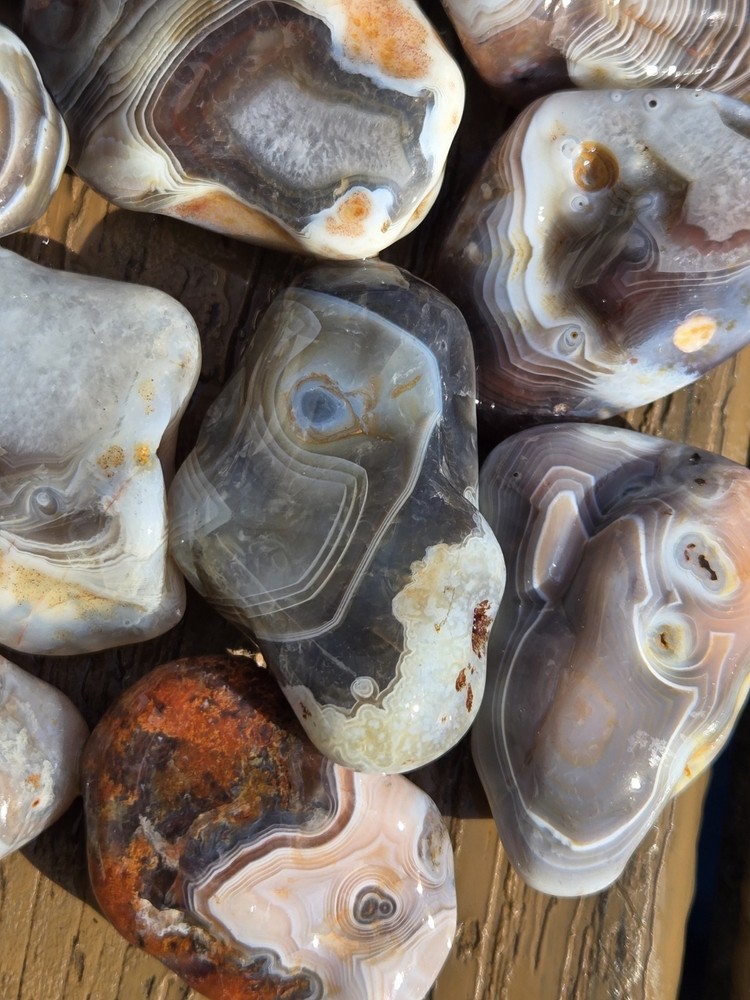 Botswana Agate Selects - WILD ONES - Rough, Natural, Not Polished A+ Grade