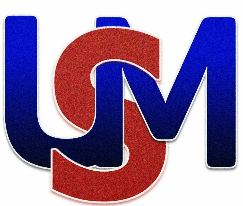 Domain name USEISM.COM, a Premium registered at GoDaddy.com. Logo included
