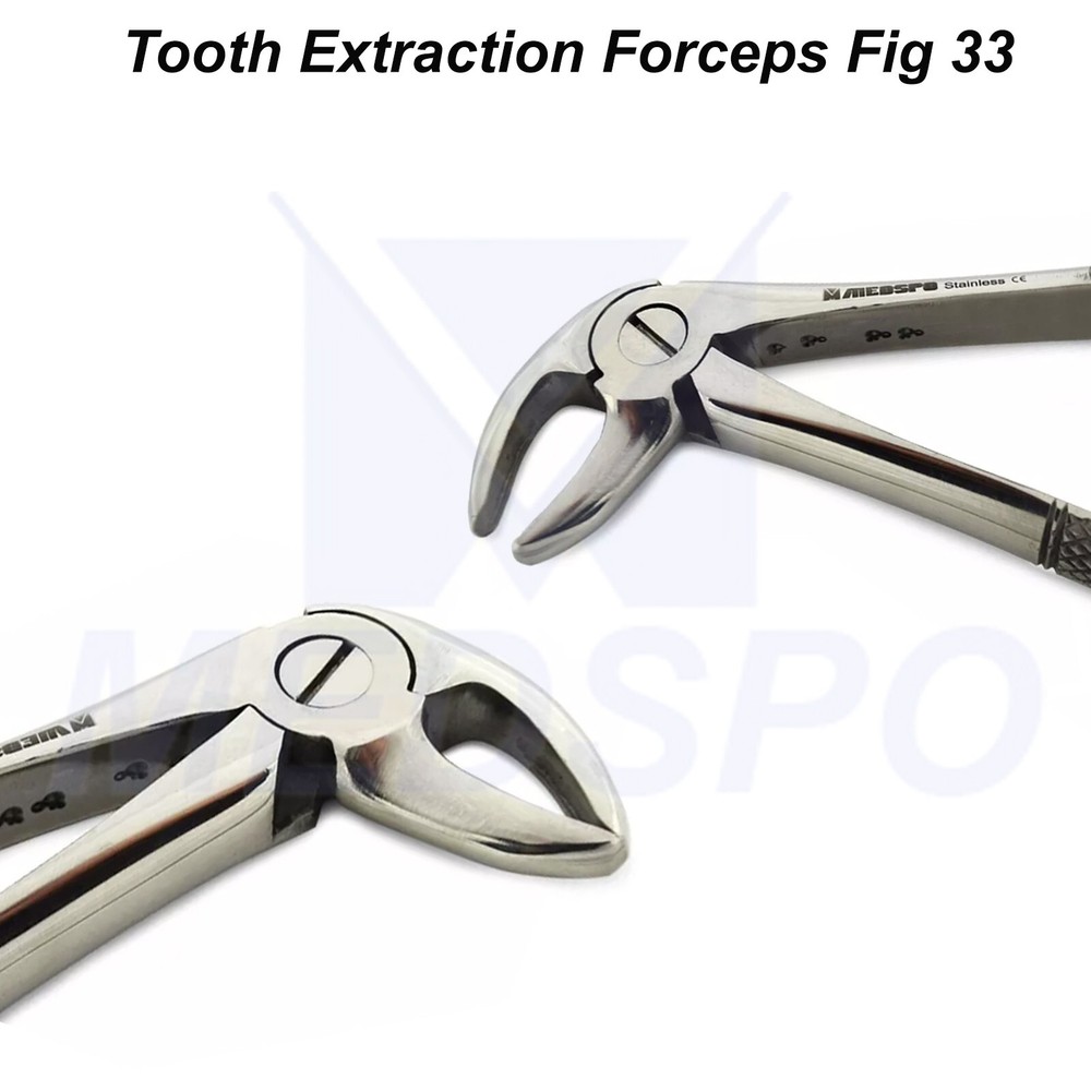 Tooth Extraction Forceps Fig 33 Surgical Instruments Extract Lower Roots Forceps