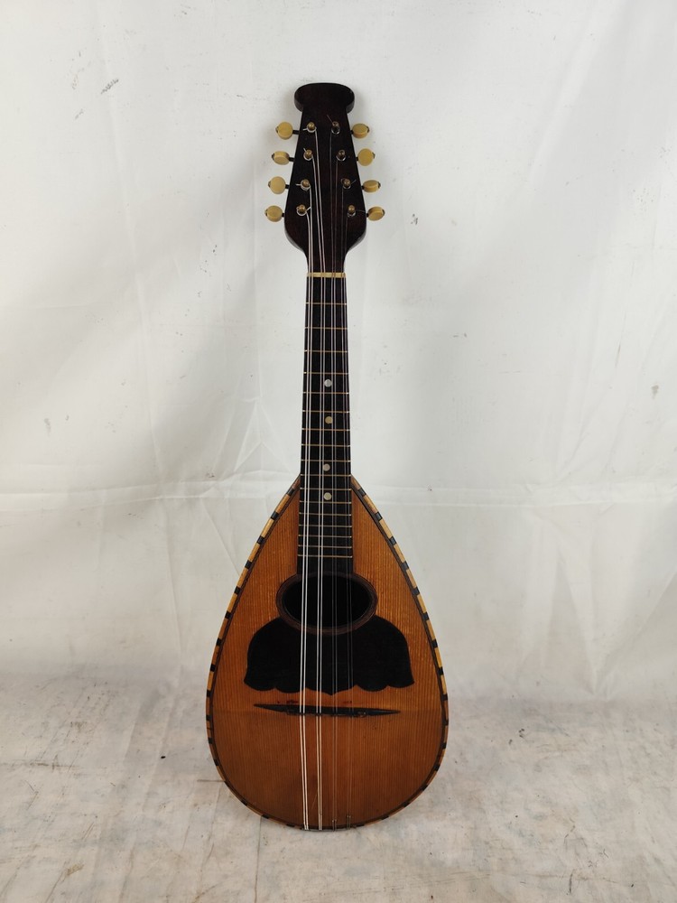 Mandolin 4/4 Michele Maratea 1894 Naples 曼陀林 만돌린マンドリン