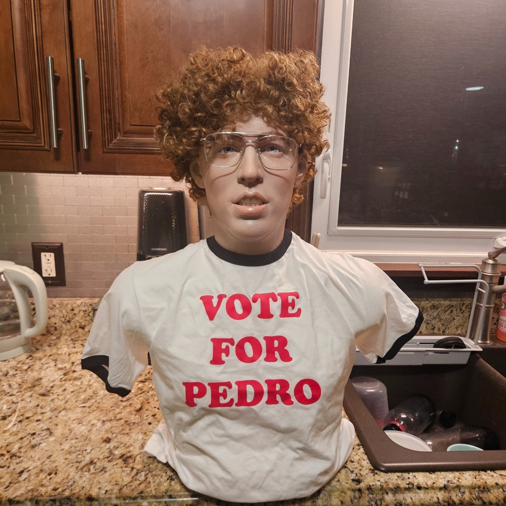 Napoleon Dynamite torso bust
