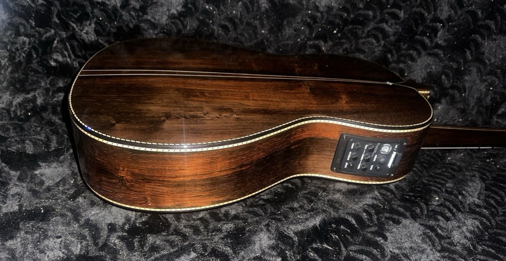 Washington Moretti 10 String Viola