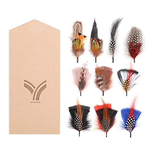 Hat Feathers, 10 Pcs Assorted Colors , Sizes