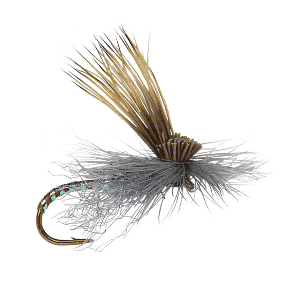 Missing Link Caddis - Fly Fishing Flies (1 pc)