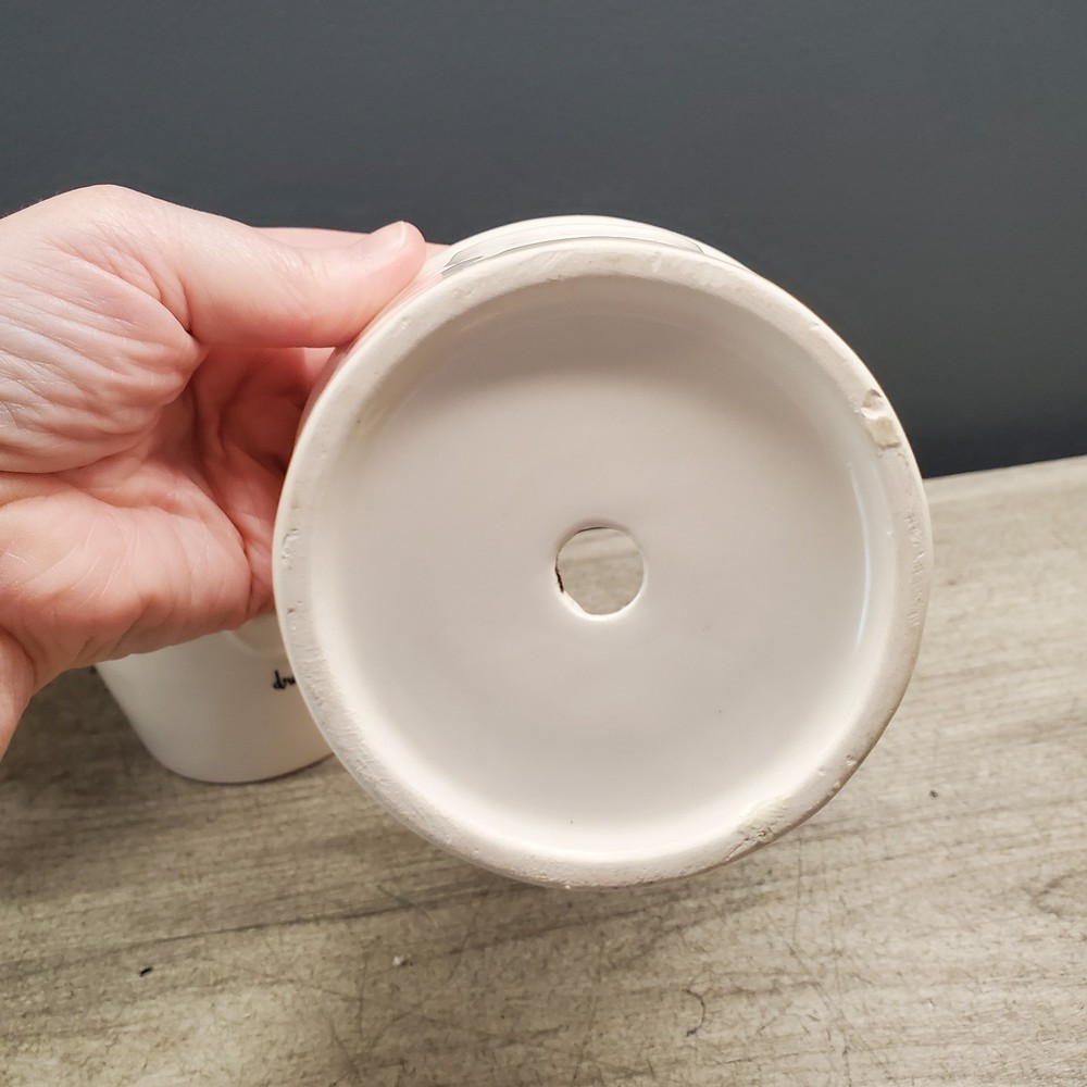 3 Rae Dunn planters with insect design