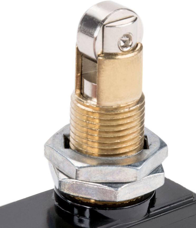 Avantco XZ-15GQ22-B, Microswitch, 250V, 15A