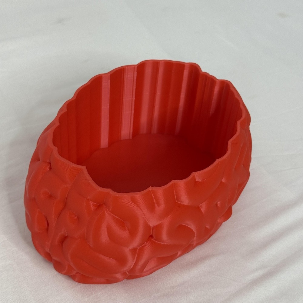 Brain Shaped Storage Box Red Plastic Container Jar Halloween Decor Gift