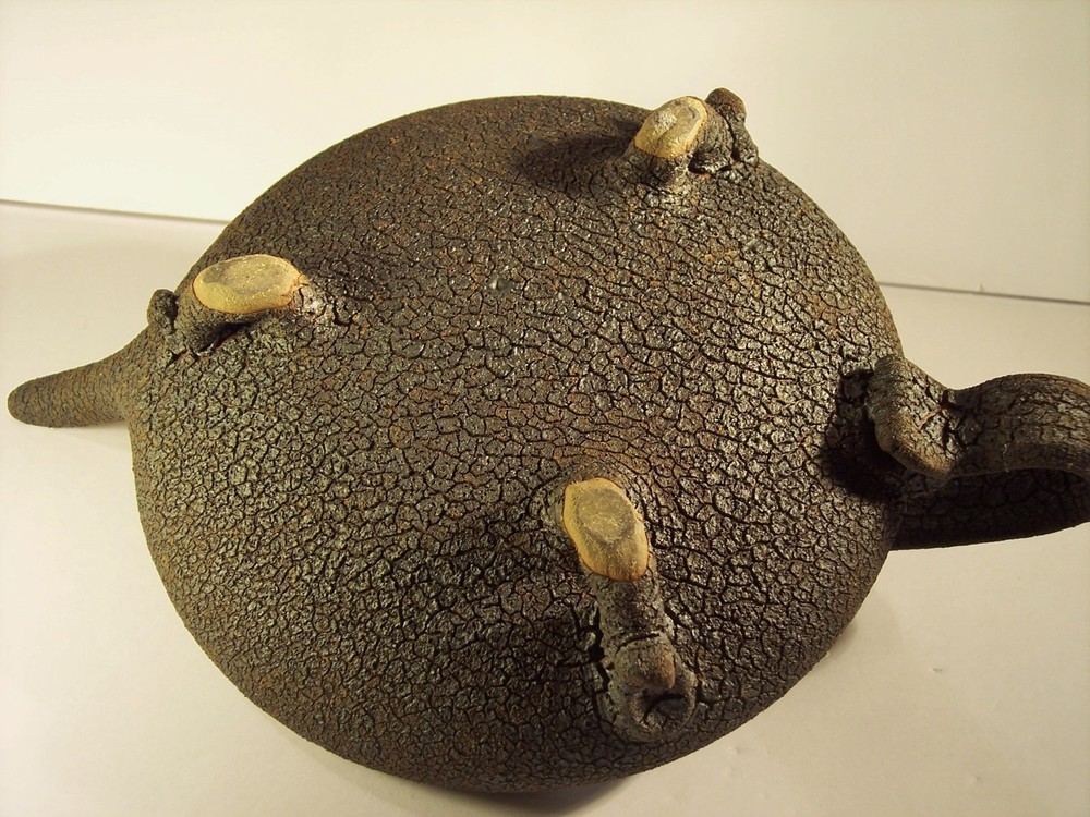 UNIQUE ART TEXTURED TEAPOT "THIRST" TERRIFIC