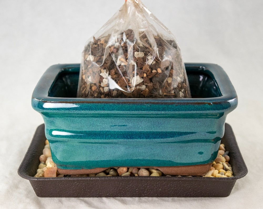 6" Rectangular Glazed Teal Green Cactus & Succulent, Bonsai Pot - Pot/Combo/Kit