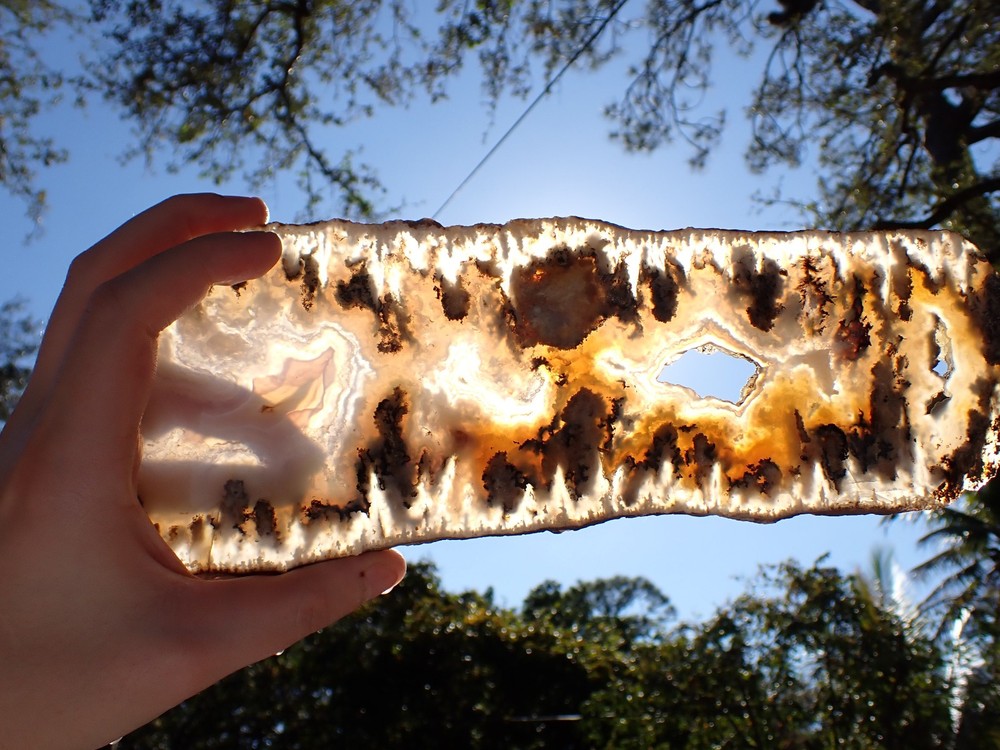 GRAVEYARD POINT PLUME AGATE BODACIOUS SLAB 367.5g 10x4"