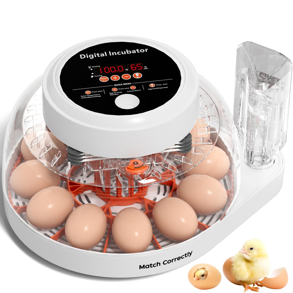 12 Egg Incubator for Hatching Eggs with Automatic Egg Turning, Temperature & Hum