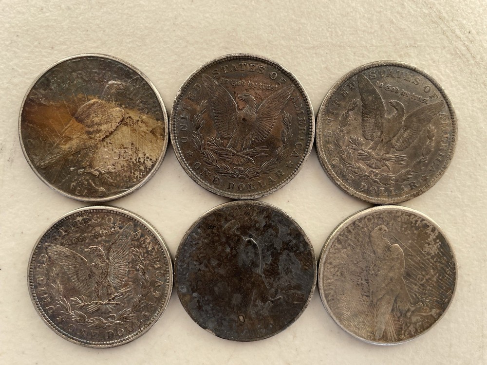 Morgan Silver Dollar Authentic Collectible Coins