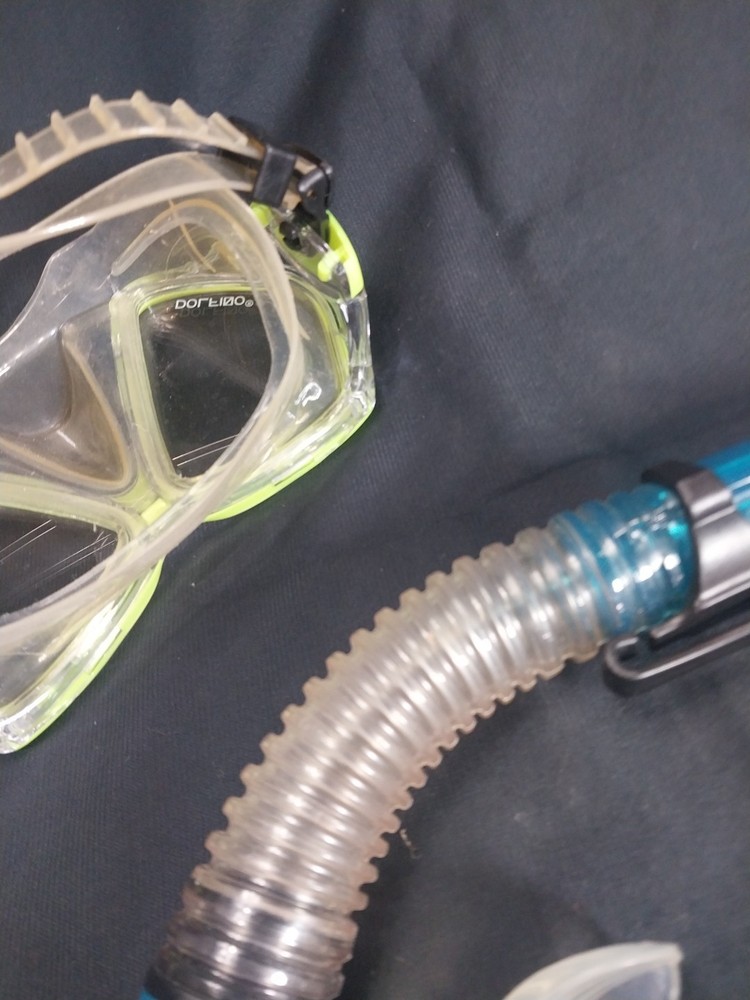 snorkel And Mask