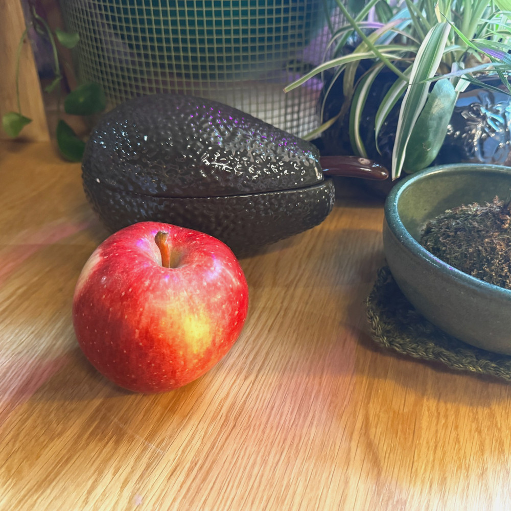 Avocado Shaped Lidded Ceramic Dish with Serving Spoon