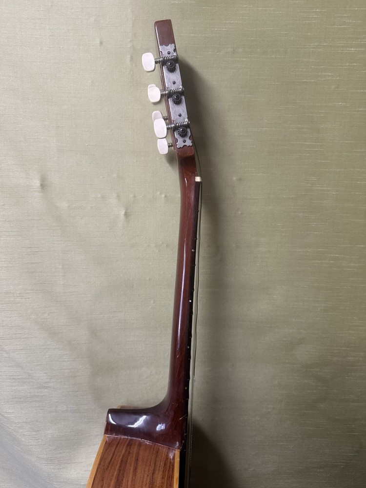 Giannini AWN60 Classical Guitar With Hard Case