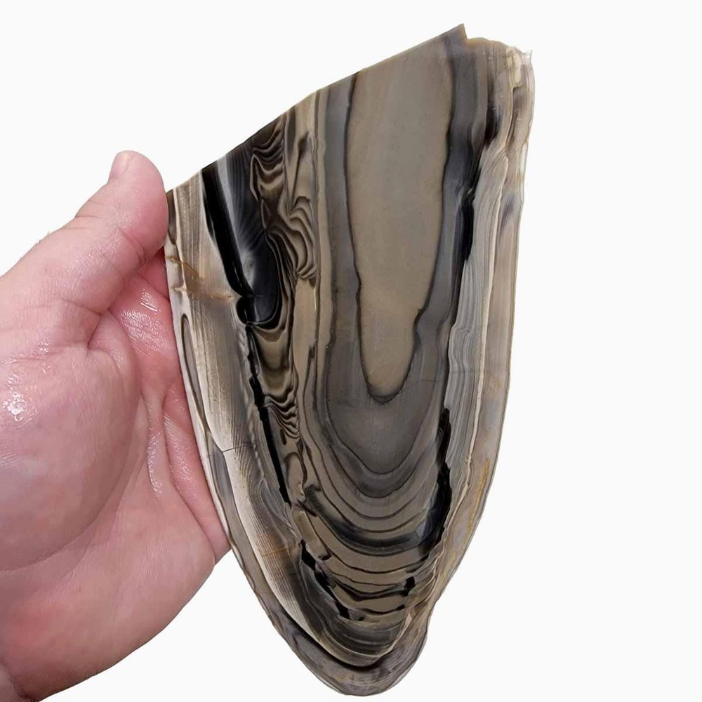 RARE Polish Flint Lapidary Stone Slab!