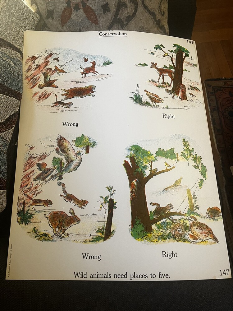 VINTAGE A.J. Nystrom Elementary science chart Conservation chart - 24” x 18.5”