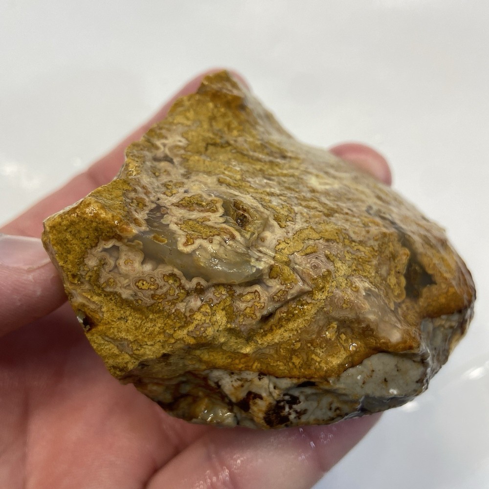 Calico Agate Crazy Lace Agate Variation Rough Stone 8.10 Oz