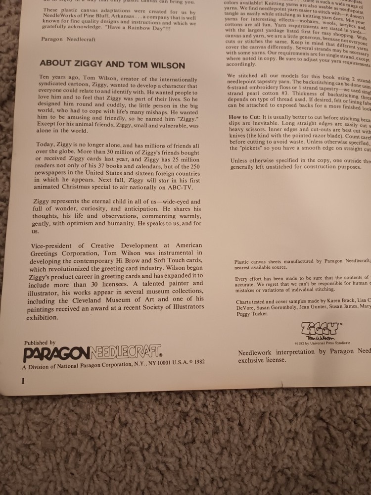 ZIGGY DESIGNS IN PLASTIC CANVAS PATTERN BOOK 1982 TISSUE BOX KEY RACK +