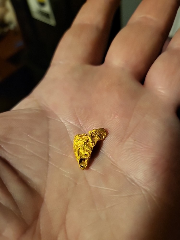Gold Nugget