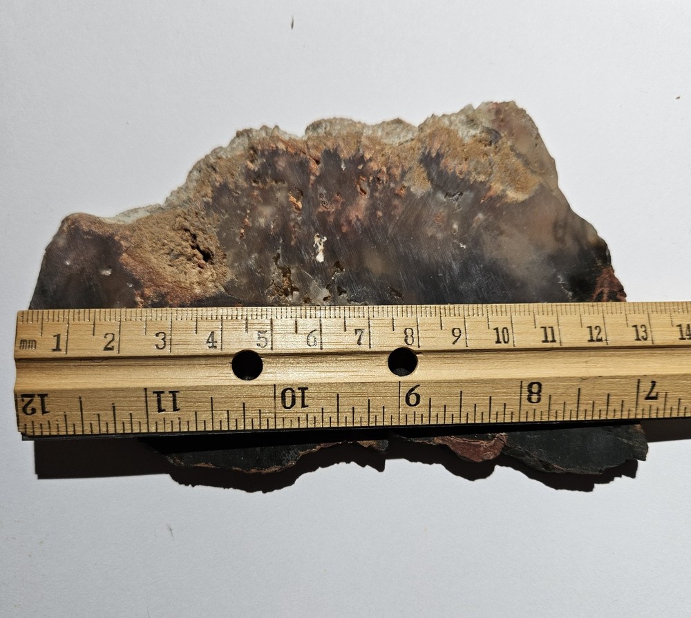 Unknown Lapidary Slab 115 Grams